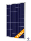 Поликристаллическая солнечная панель FSM-100P (12V, 100 Вт)