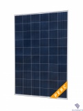 Поликристаллическая солнечная панельFSM-280P (24V, 280 Вт)